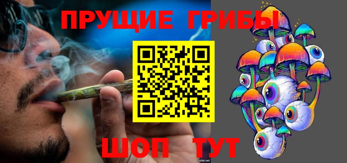 Красный Сулин  Галлюциногенные грибы Psilocybe  Вход с VPN 