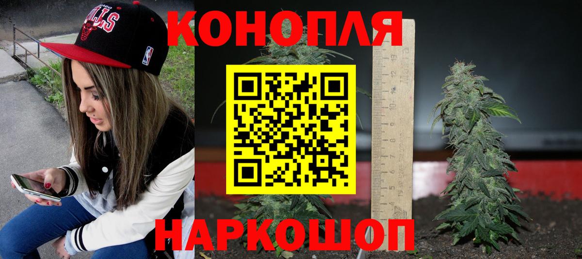 Канабис ГИДРОПОН Красный Сулин